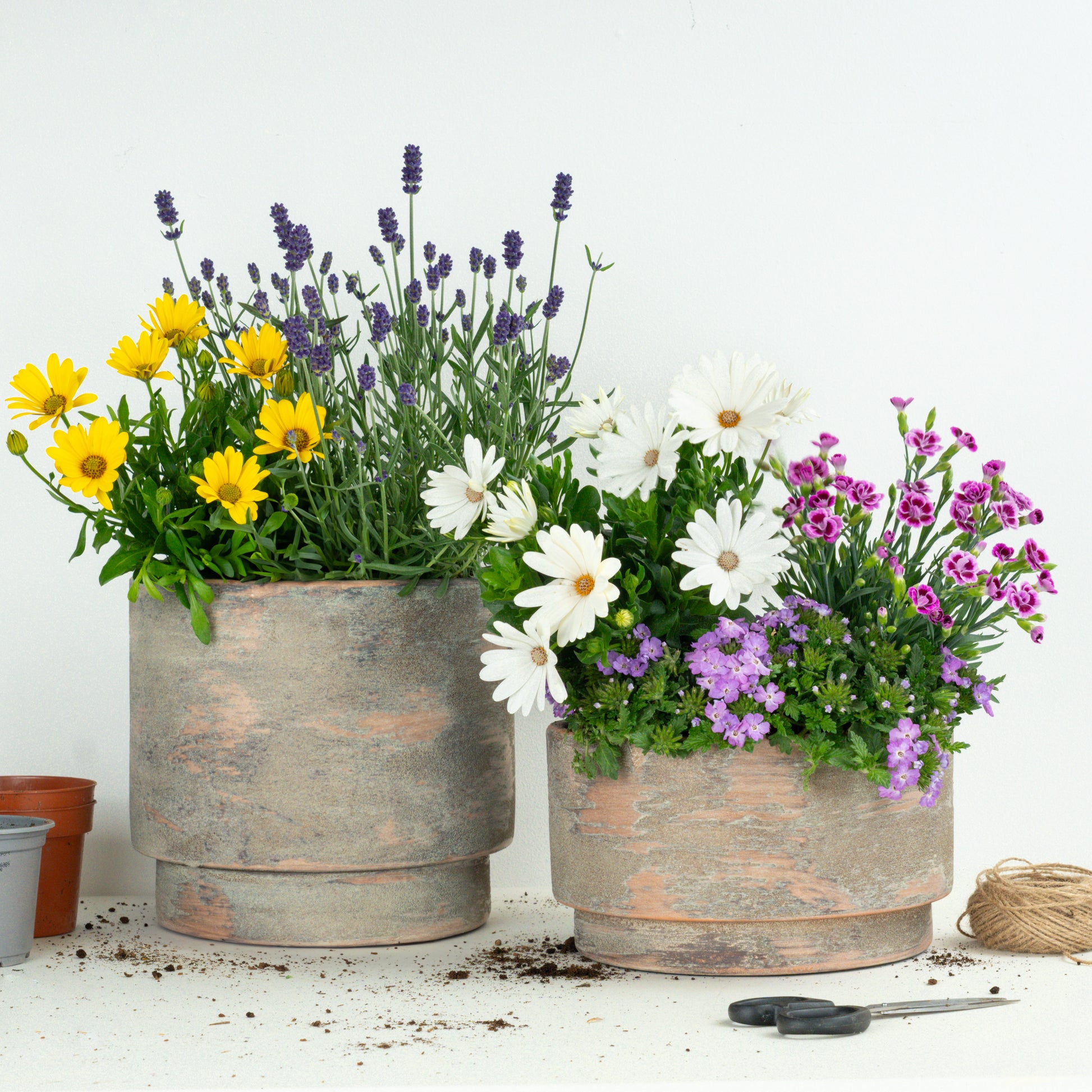 Low Maintenance Patio | Garden Bundle