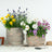 Garden Plants