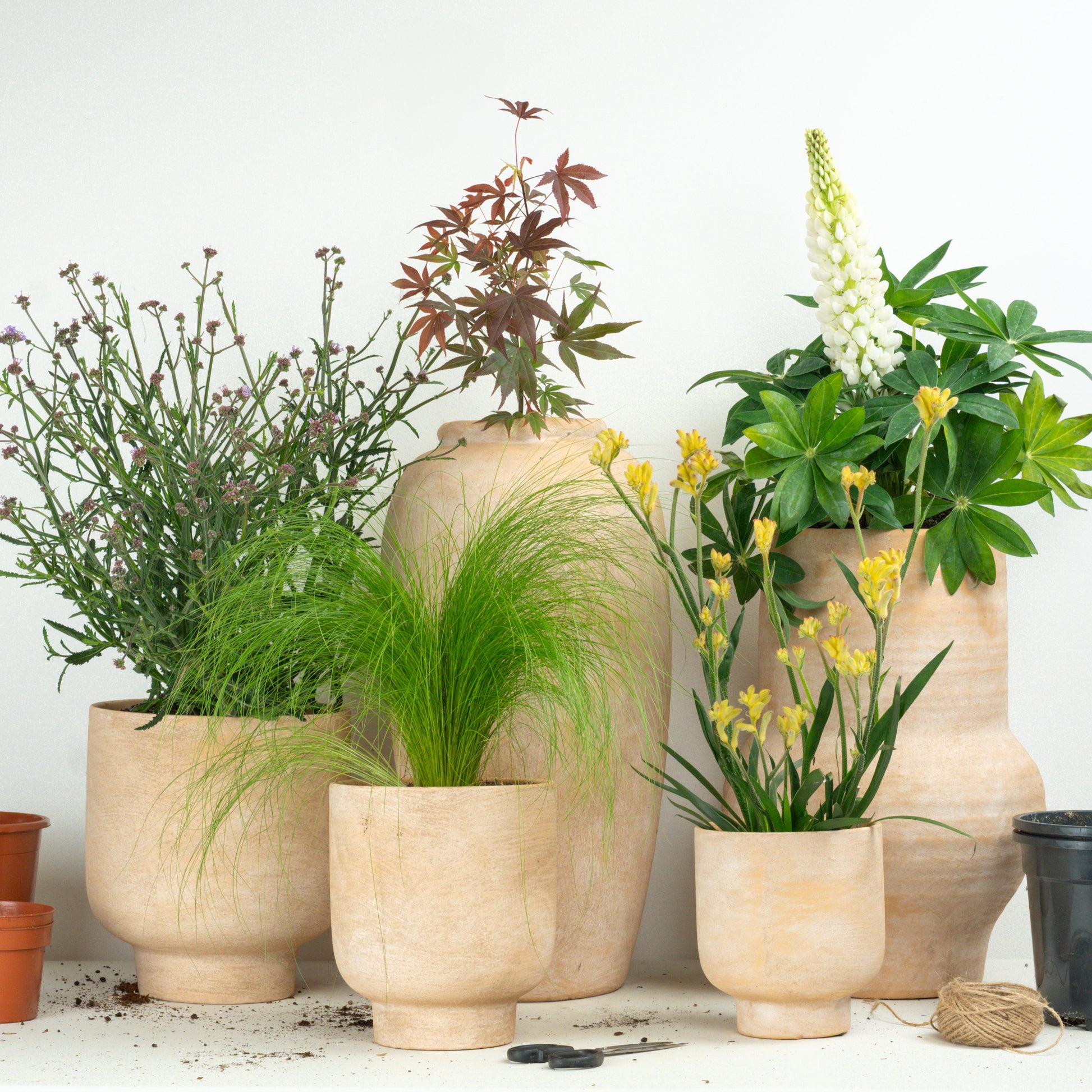 Whimsical Wonders | Garden Bundle