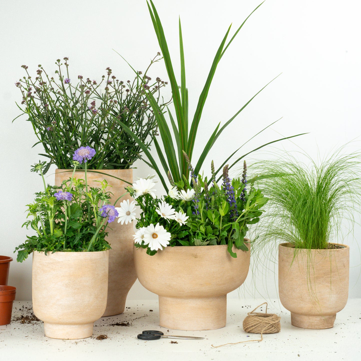 Textural Patio Set  | Garden Bundle