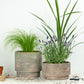 Front Door Statement  | Garden Bundle