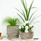 Neutral Boho  | Garden Bundle