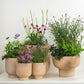 Prairie Style  | Garden Bundle