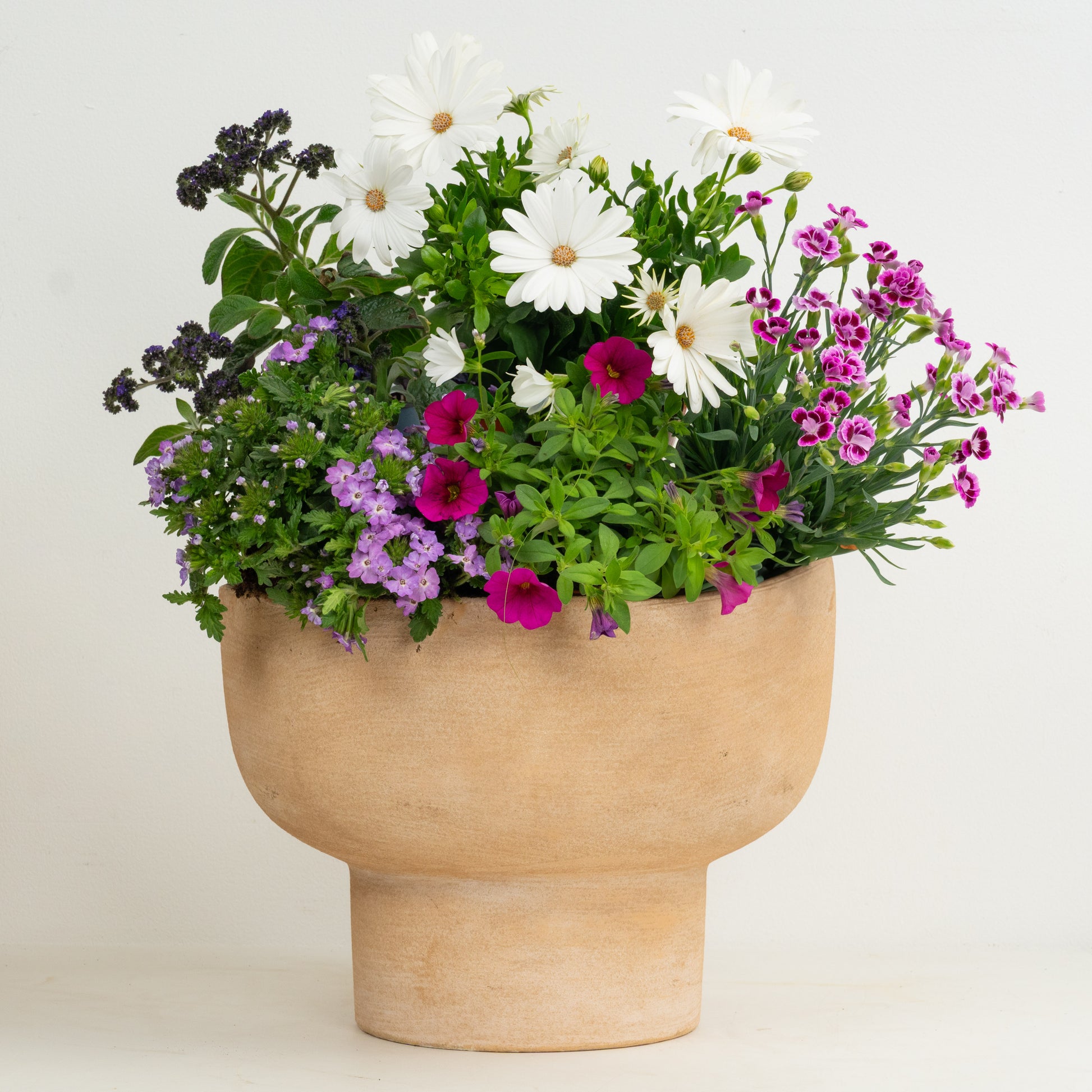 Romantic Patio  | Garden Bundle