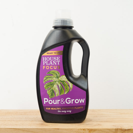 Houseplant Focus Pour & Grow | Gardening Accessories