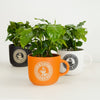 Coffee Mug | Arabica