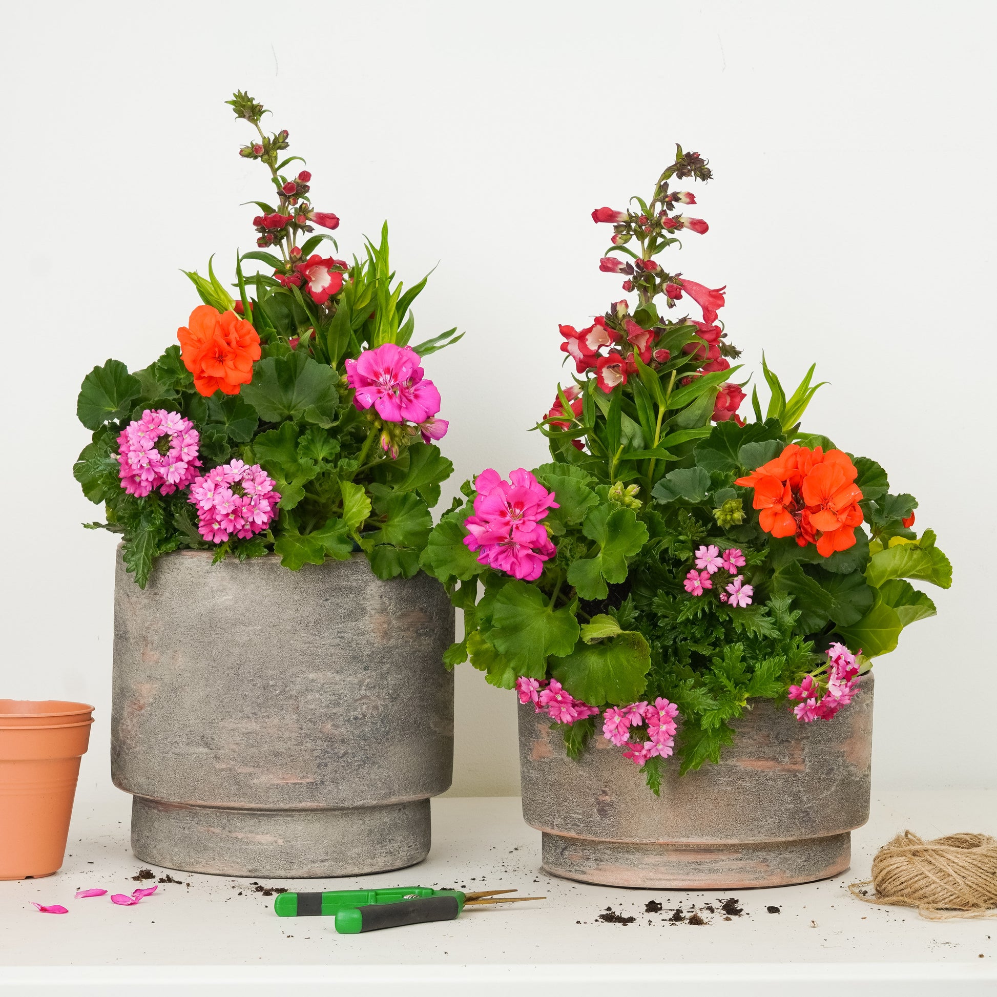 Easy Peasy Planting | Garden Bundle