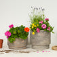 Flowering Patio | Garden Bundle