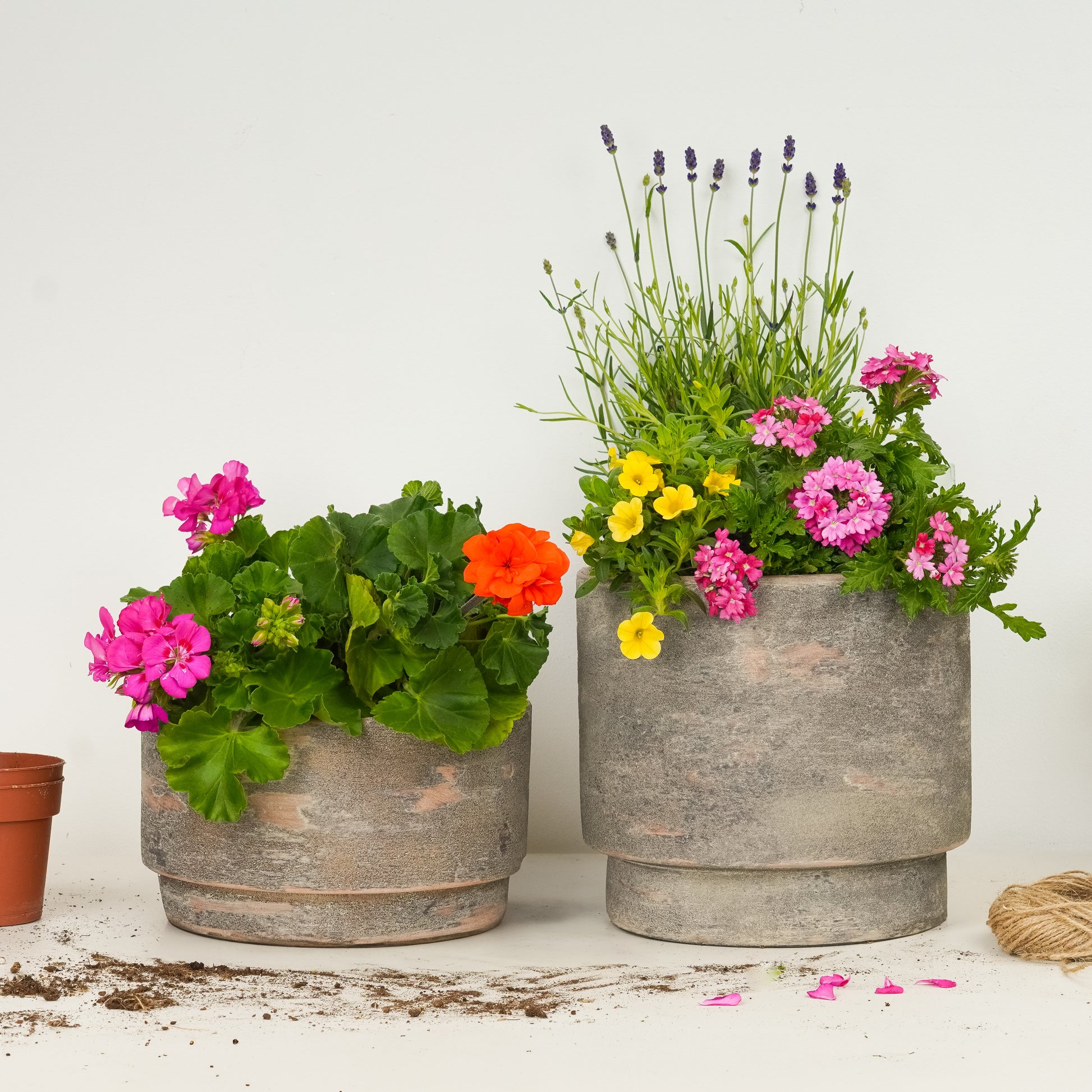 Flowering Patio | Garden Bundle