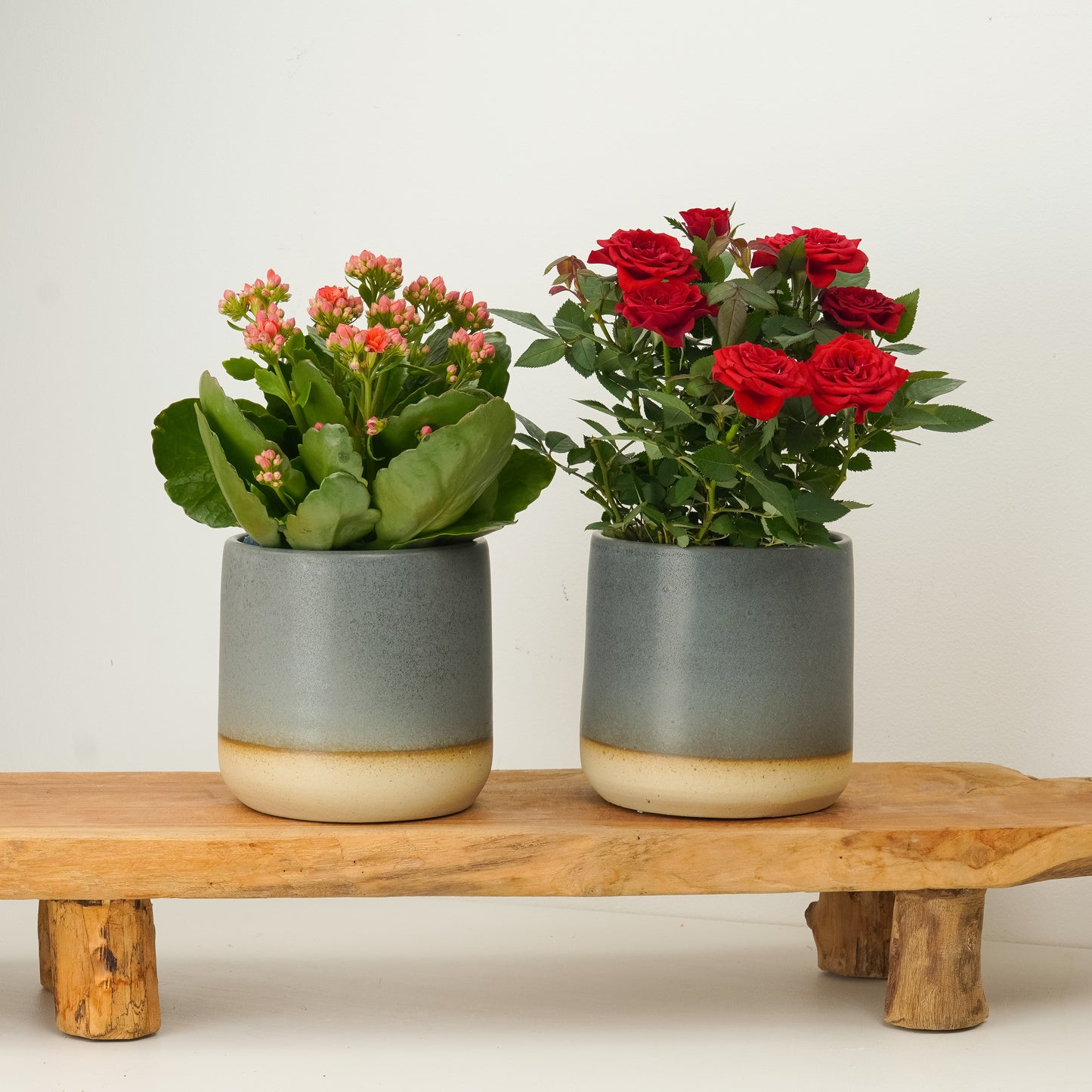 Red Hot Flowering | Plant Bundle