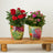 Perfect Plants for Under £50