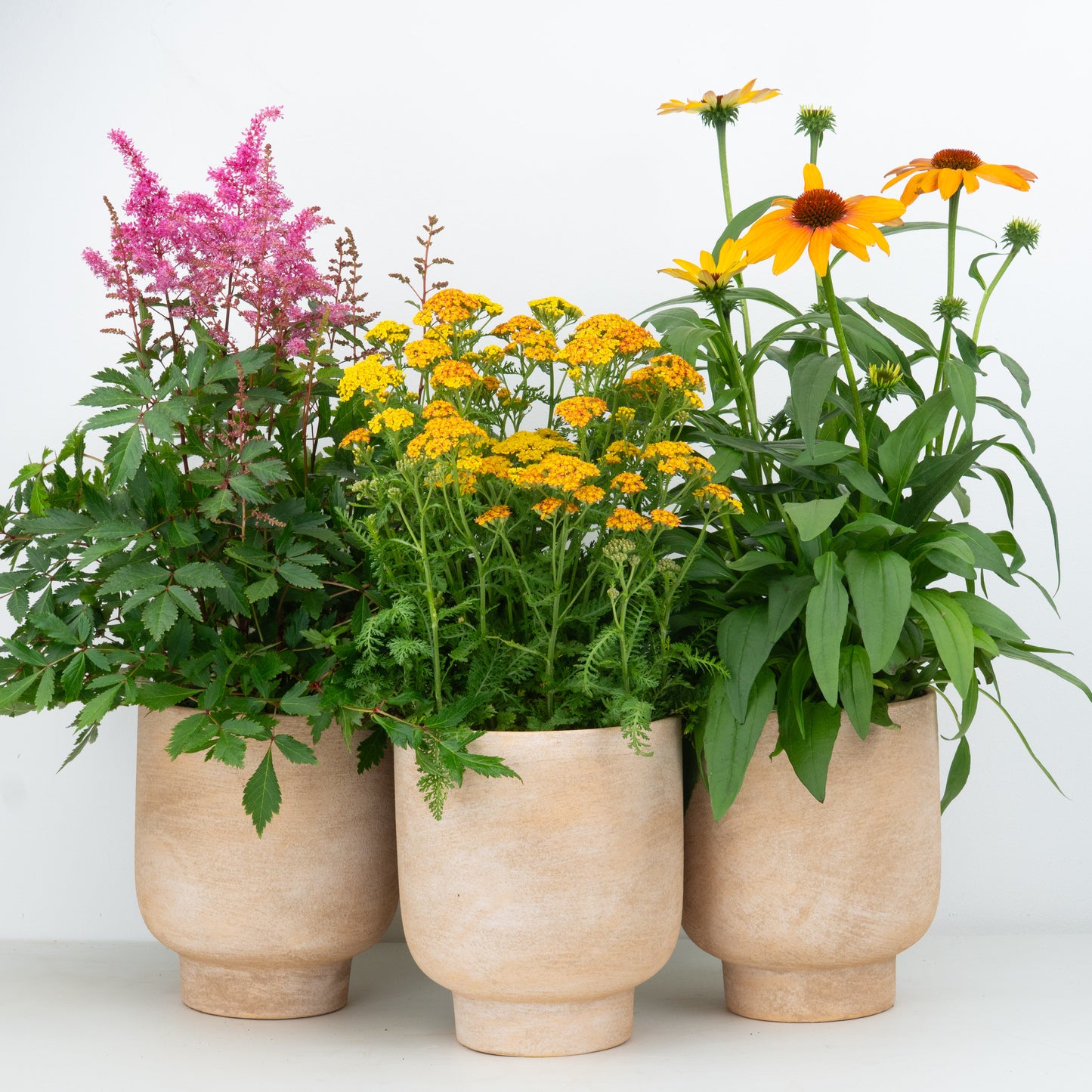 Pretty Petals | Garden Bundle