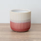 Dinky Dave Pot | Pink