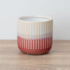 Dinky Dave Pot | Pink