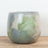 Pots & Planters