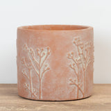 Hallie Terracotta Planter Pot, 12 cm