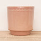 Clover Pot | Dotted Pink
