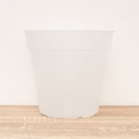 Elho Orchid Pot | Transparent