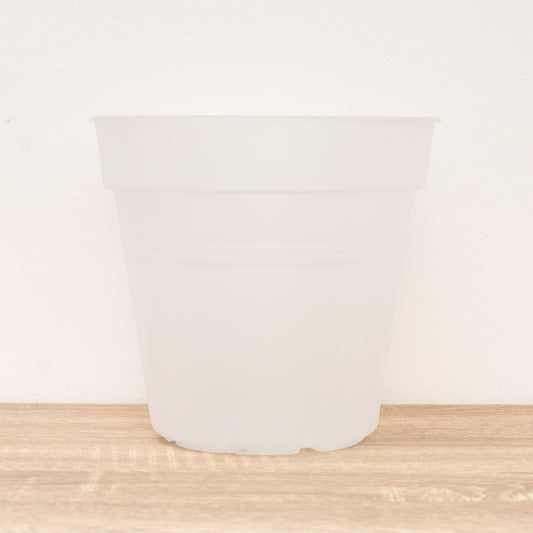 Elho Orchid Pot | Transparent | Pots & Planters