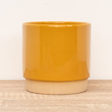Eno Pot | Mustard, 9 cm