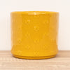 Arley Pot | Bee