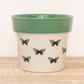 Butterfly Pot | Mint Green