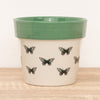 Butterfly Pot | Mint Green