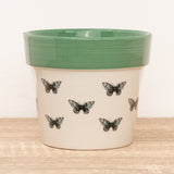 Butterfly Pot | Mint Green, 6 cm