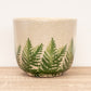 Veneto Fern Pot | White