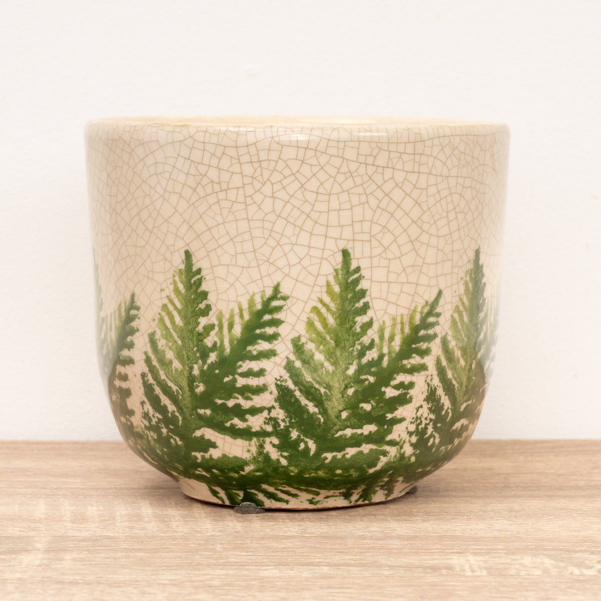 Veneto Fern Pot | White