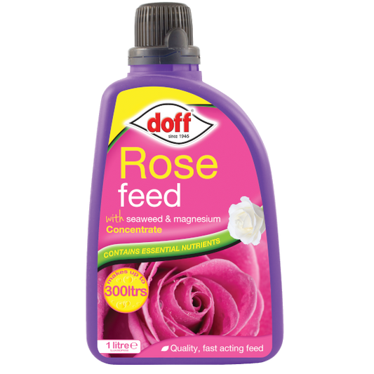 Doff Rose Feed |