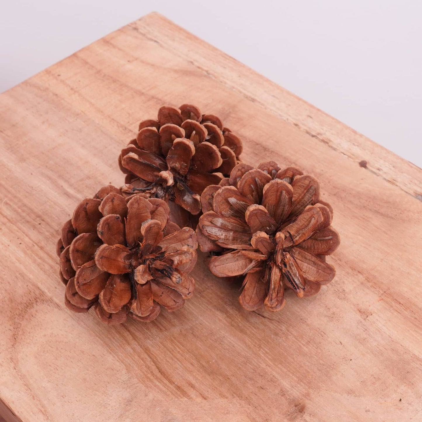 Dried Pine Cones | Natural Crafting