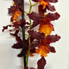 Cambria Orchid | Shelly
