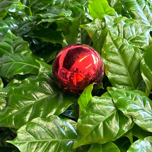 Shiny Red Bauble | Decorative Plant Pot Accessory | Gardening Accessories