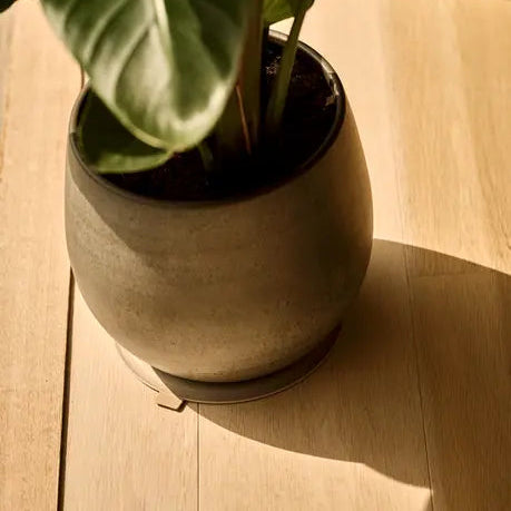 Ripple Floor Protector | Plant Pot Protector