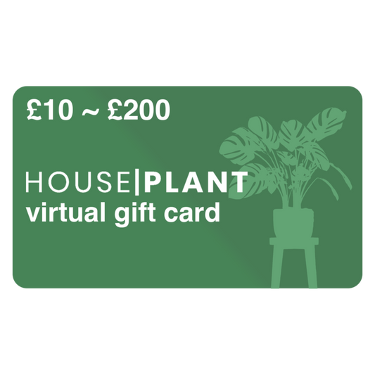 Houseplant Gift Card | Climbing & Vine Plants