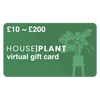 Houseplant Online Digital Gift Card
