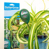 A Houseplant Soil Moisture Meter sitting inside the pot of a Chlorophytum tropical spider plant. This tool is great for keeping your fresh plant friends as happy as can be indoors and out!