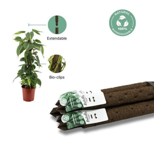 Kratiste Pole - Plant Support Pole | Gardening Accessories