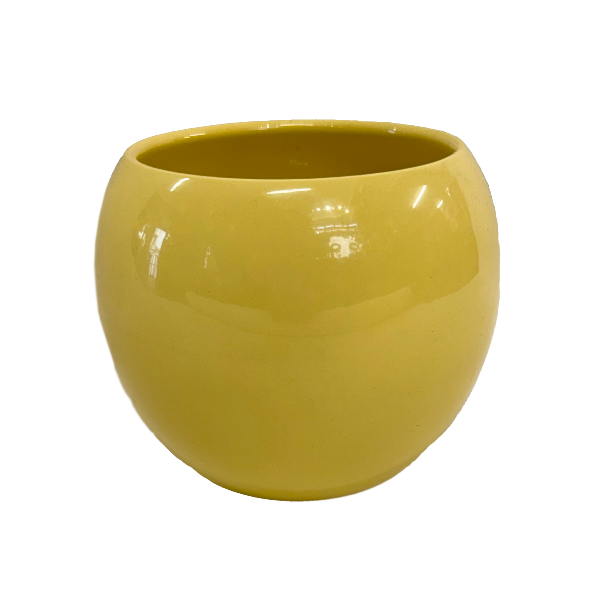 Yellow Bowl Pot