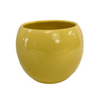 Yellow Bowl Pot - 