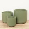 Three stunning Lisbon 'Sage Green' ceramic plant pots with a curved, modern styling that is sure to inspire wherever they go. Great for showcasing all sorts of plants big and small! 