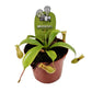 Monkey Jars | Alata