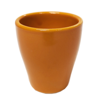 Orange Grandeur Pot - Ceramic Plant Pot