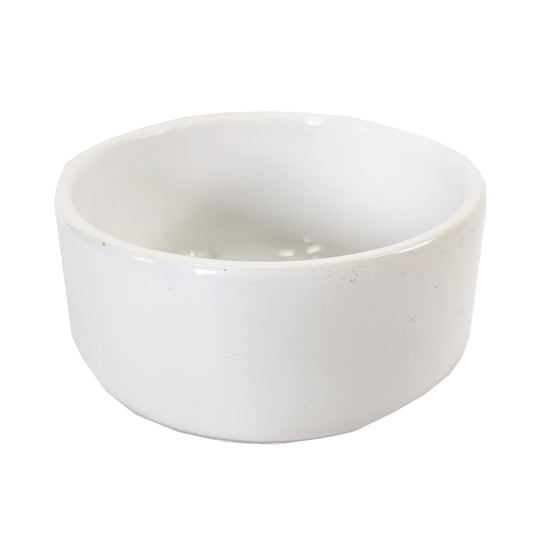 Lucky Bamboo Ceramic Bowl | White | Pots & Planters