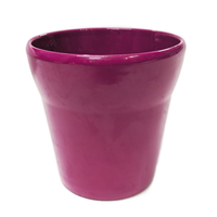 Purple Wide Rim Pot - Ceramic Plant Pot