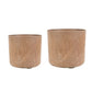 Celine Pot | Recycled Oak
