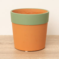 Cottage Garden Pot | Green Rim - Ceramic Plant Pot