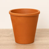 Terracotta Planter Pot, 5 cm