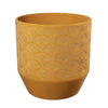 Tirza Pot | Pistache Curry
